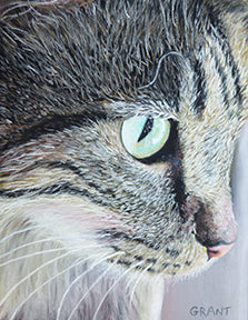 Tabby Cat is a pastel painting by joanne grant of a cat face.  It is very realistic and detailed.  The cat has blue green eyes and large white whiskers.